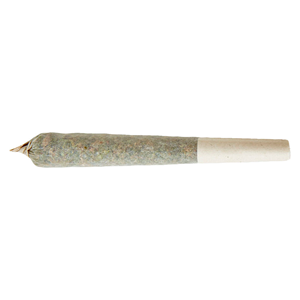 XPLOR LEVEL X - Beast Berry Distillate Infused Pre-Roll - Indica - 1x1g