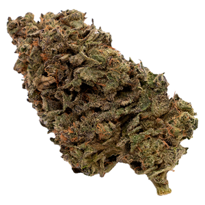 FIGR - Jungle Fumes - Sativa - 3.5g